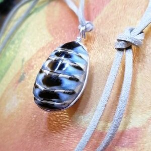 Unique Chiton Shell Wired Pendant On New Tan Suede Cord